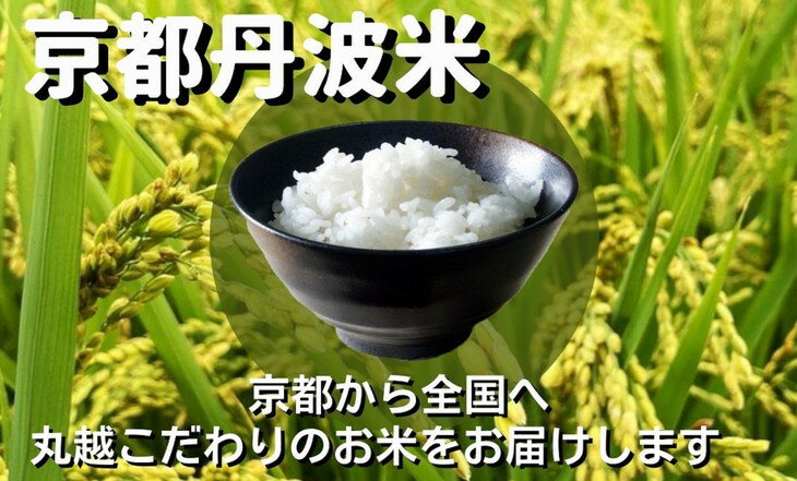 【ふるさと納税】訳あり【12回定期便】京都丹波産 きぬひかり 10kg(5kg×2)×12ヶ月 計120kg ※米食味鑑定士厳選 ※精米したてをお届け【京都伏見のお米問屋が精米】《コロナ支援 緊急支援 米 令和3年産 9月中旬以降令和4年産 新米》※北海道・沖縄・離島への配送不可