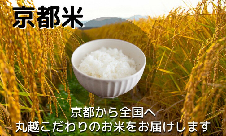 【ふるさと納税】訳あり 京都米 食べ比べセット 5kg×2 計10kg 【京都伏見のお米問屋が精米】※米食味鑑定士厳選 ※精米したてをお届け【亀岡市限定・数量限定】《コロナ支援 緊急支援 米 白米 令和5年産 食べくらべ》※着日指定不可※沖縄・離島への配送不可