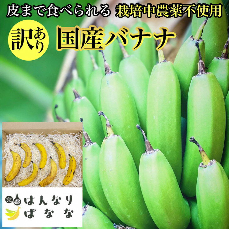 京都府亀岡市の地で育てた『京都 はんなりばなな』は、環境にも人にも優しい、皮まで食べれる栽培期間中農薬不使用の国産バナナです。 国内流通量が全体のわずか0.2%と、希少価値がとても高い国産バナナで、上品な甘みを追求しています。 『京都はんな...
