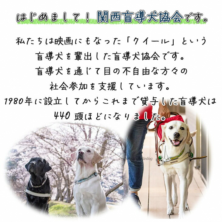 【ふるさと納税】盲導犬 訓練 支援寄附 記念品...の紹介画像2