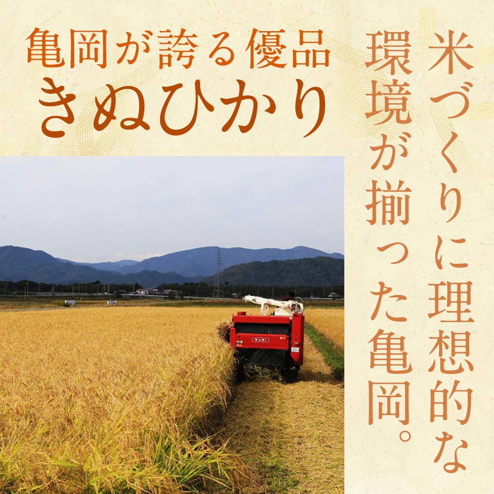 【ふるさと納税】先行予約 新米【無洗米・真空パック】京都丹波産 キヌヒカリ 10kg（2kg×5袋）3年連続特A獲得 大嘗祭供納品種 ※精米したて 受注精米 亀岡そだち《令和4年産 米》 ※北海道・沖縄・その他離島への出荷不可※10月より順次発送