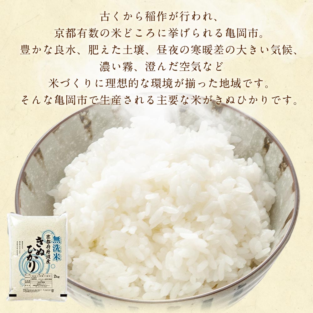 【ふるさと納税】先行予約 新米【無洗米・真空パック】京都丹波産 キヌヒカリ 10kg（2kg×5袋）3年連続特A獲得 大嘗祭供納品種 ※精米したて 受注精米 亀岡そだち《令和4年産 米》 ※北海道・沖縄・その他離島への出荷不可※10月より順次発送