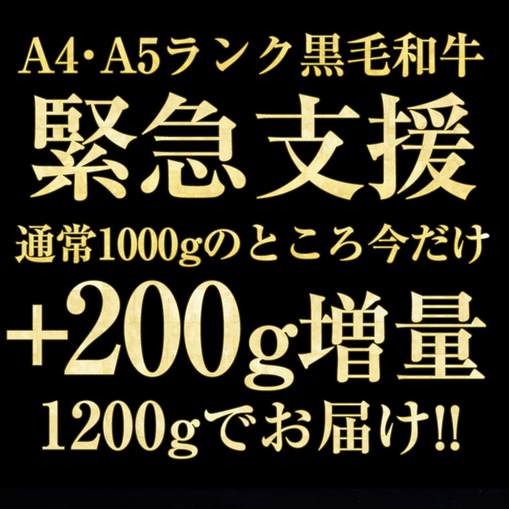 【ふるさと納税】【訳あり・緊急支援】京の肉 ひら山厳選 京都産 黒毛和牛(A4,A5)赤身 切り落とし スライス 1kg＋200g増量【計1.2kg】発送月選択≪コロナ支援 不揃い 和牛 牛肉 亀岡牛 京都肉 国産 丹波産 冷凍≫・SDGs未来都市亀岡