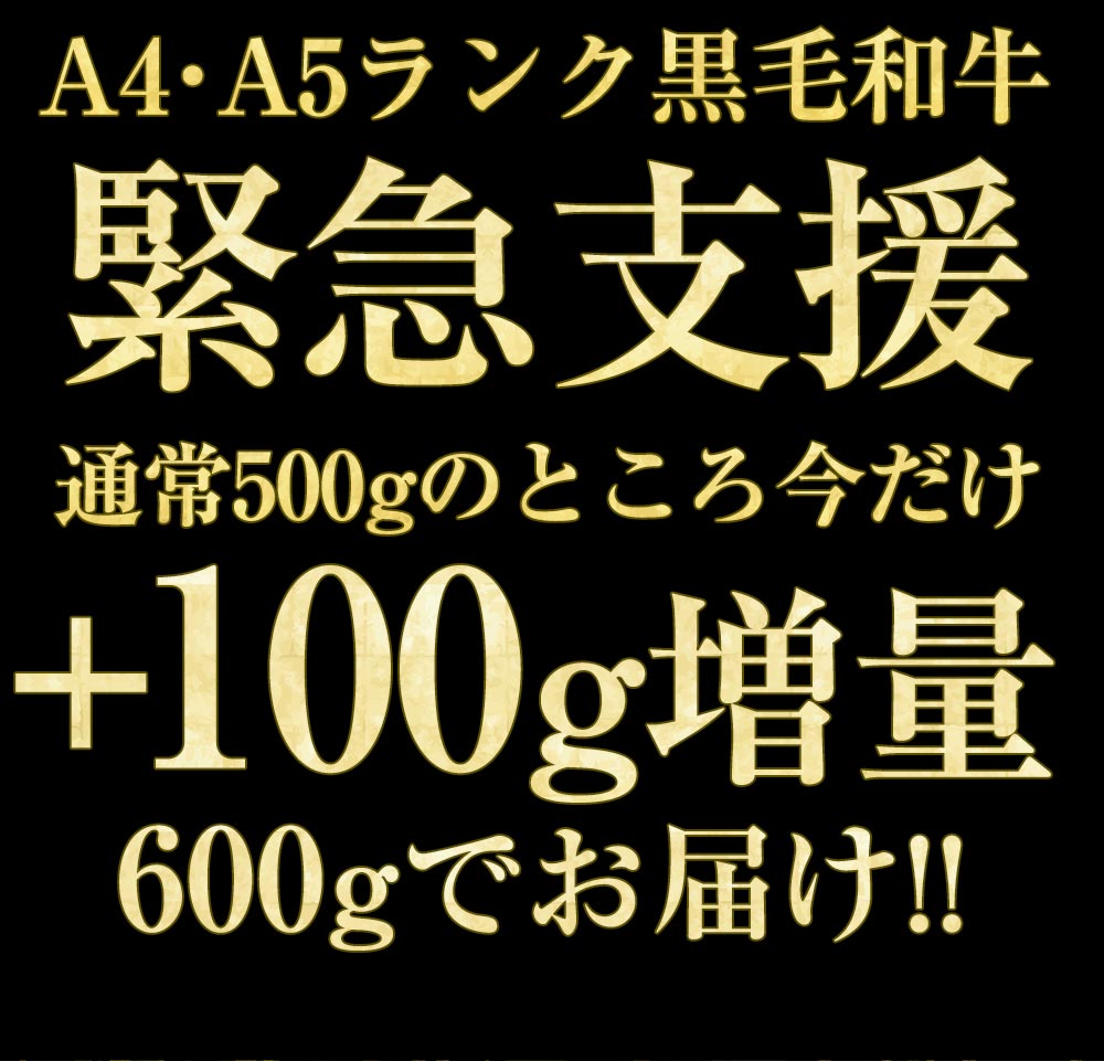 【ふるさと納税】【訳あり・緊急支援】京の肉 ひら山厳選 京都産 黒毛和牛(A4,A5)切り落とし スライス 500g＋100g増量【計600g】発送月選択≪コロナ支援 不揃い 和牛 牛肉 亀岡牛 京都肉 国産 京都 丹波産 冷凍≫（クラウドファンディング対象）