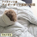 【ふるさと納税】\選べるサイズ/【羽毛の宝石】アイスランド産アイダーダック肌掛け布団 シングル セミダブル ダブル クイーン キング〈亀屋寝装センター〉《選べる...