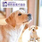 【ふるさと納税】盲導犬 訓練 支援寄附 記念品［陶器のクイール（子犬）※欠品時は代替品の盲導犬のぬいぐるみ・タオル・エコバッグ など盲導犬協会オリジナルグッズ］「行きたい場所に安心していける社会に…」補助犬 (50,000円)