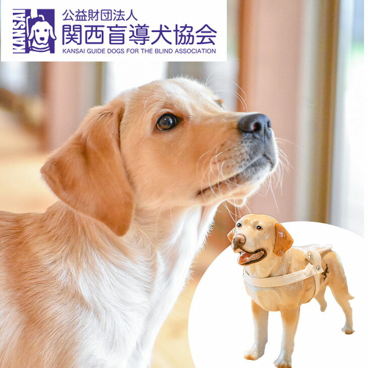 【ふるさと納税】盲導犬 訓練 支援寄附 記念品［クイールの陶器（成犬）・タオル2枚セット・エコバッグ など盲導犬協…