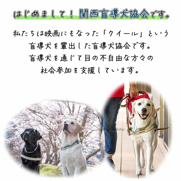 【ふるさと納税】盲導犬 訓練 支援寄附 記念品［エコバッグ など盲導犬協会オリジナルグッズ］「行きたい場所に安心していける社会に…」補助犬 (10,000円) ☆月間MVPふるさと納税賞 第1号（2020年10月）・SDGs未来都市亀岡