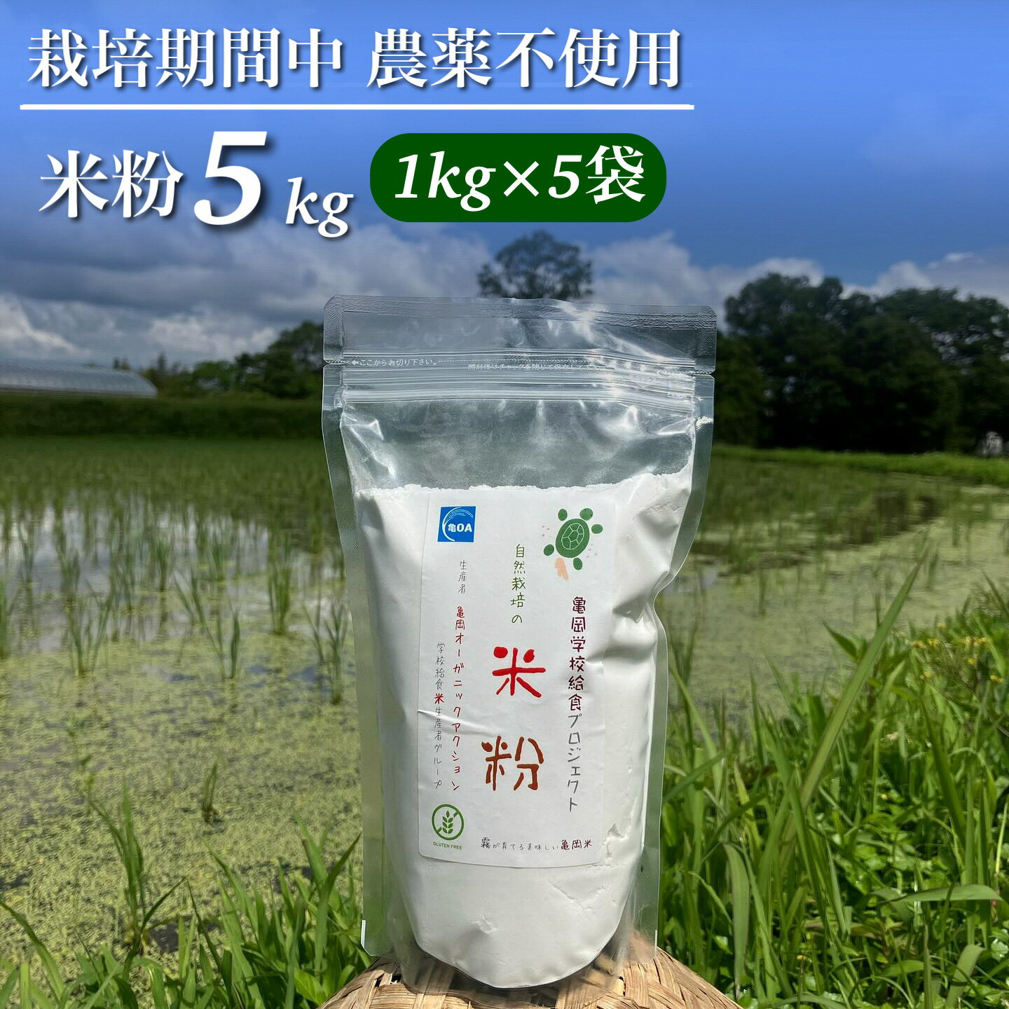 【ふるさと納税】京都府・亀岡産 栽培期間中農薬不使用 亀岡学校給食プロジェクト 自然栽培米の米粉 5kg(1kg×5) ※離島への発送不可