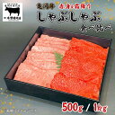 【ふるさと納税】\選べる内容量/亀岡牛 しゃぶしゃぶ用 霜降り赤身食べ比べ 500g 1kg<亀岡牛専門店 木曽精肉店>☆祝!亀岡牛 2023年最優秀賞(農林水...