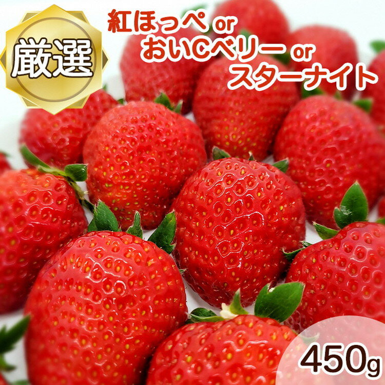 【ふるさと納税】【数量限定】完熟 京いちご 1箱 希少 お楽しみ【紅ほっぺ おいCベリー から厳選してお届け】 小島農園 果実 新鮮 フルーツ 旬 イチゴ 苺 有名 スイーツ店 御用達※2024年1月中旬〜5月末頃に発送予定☆月間MVPふるさと納税賞 第1号のサムネイル
