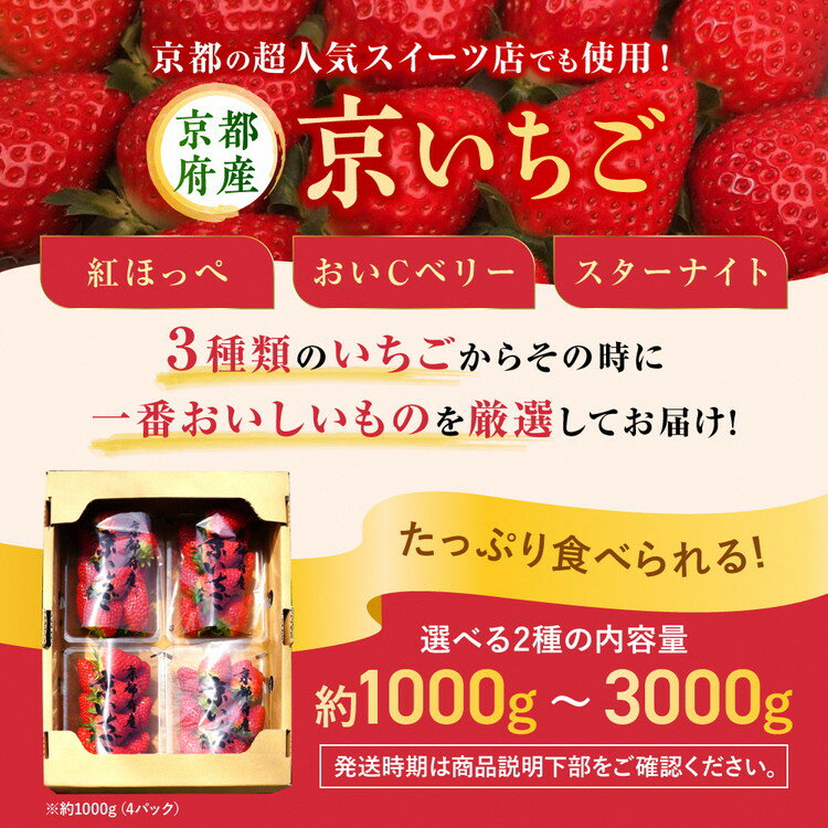 【ふるさと納税】【数量限定】高級 京いちご 選べる 内容量 約1000g～3000g（250g 4パック/8パック/12パック）【紅ほっぺ おいCベリー スターナイトから厳選してお届け】訳あり 完熟 朝採れ※離島への配送不可※2024年2月上旬～5月下旬頃に順次発送予定