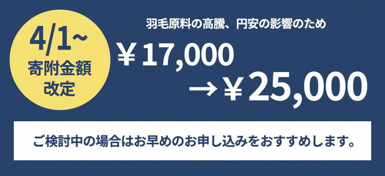 【ふるさと納税】＜京都金桝＞快適睡眠グッズ 「ダウンの枕」 400g（高さ低めのソフトな寝心地）《羽毛布団 冬 暖 睡眠 軽量》☆月間MVPふるさと納税賞 第1号（2020年10月）・SDGs未来都市亀岡 新生活