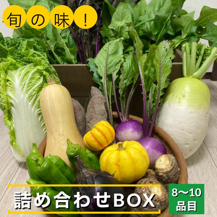 旬の味!お野菜 詰め合わせ BOX 8〜10品目(栽培期間中 農薬・化学肥料不使用)[めぐる農園]京都 亀岡 京野菜 農家より直送