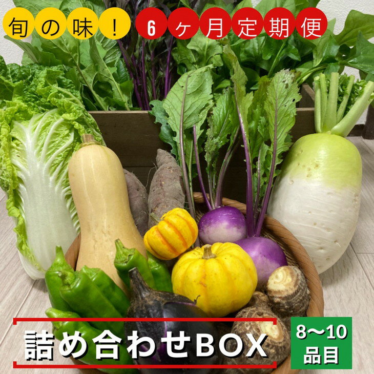 [6回定期便]旬の味!お野菜 詰め合わせBOX 8〜10品目×6回(栽培期間中 農薬・化学肥料不使用)[めぐる農園]京都 亀岡 京野菜 農家より直送