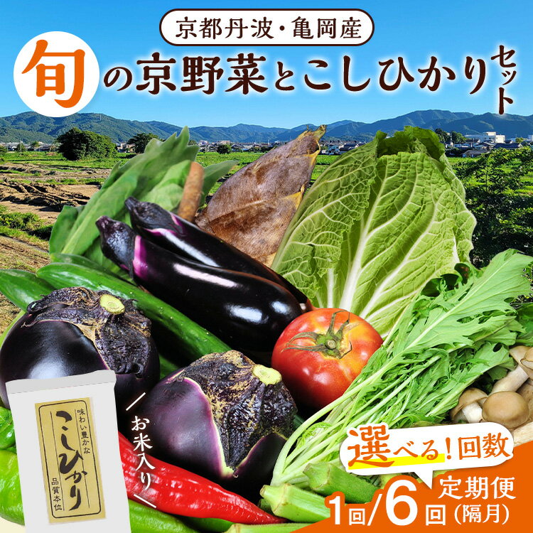 【ふるさと納税】高評価 米 定期便 2kg(こしひかり) 旬の野菜 詰め合わせセット 1回 6回 京都丹波・亀岡産 野菜セット≪産地直送 直売所 令和7年産 隔月6回 ふるさと納税米 ふるさと納税野菜 京野菜≫※配送不可地域あり