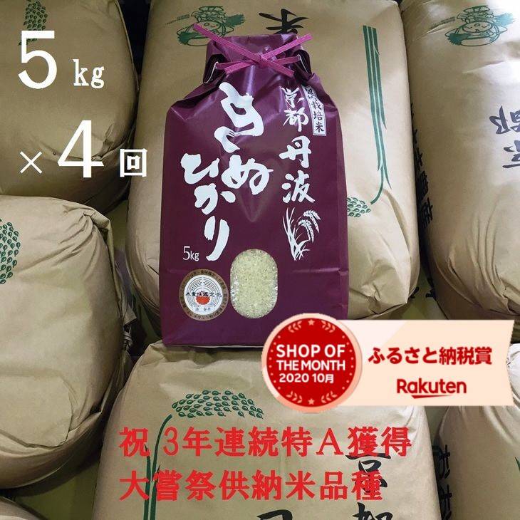 【ふるさと納税】【4回定期便】京都丹波米 きぬひかり （5kg×4回 計 20kg）3年連続最高ランク「特A」≪白米 キヌヒカリ 令和3年産 新米≫※精米したてをお届け※配送不可地域あり（クラウドファンディング対象）