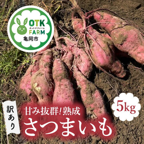 [訳あり][数量限定]甘み抜群 熟成 さつまいも 5kg 野菜 旬 サツマイモ 芋 ※離島への配送不可 ※2025年12月下旬までに順次発送