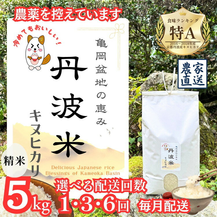 【ふるさと納税】＼選べる配送回数／【令和7年産】新米 京都丹波産 キヌヒカリ 5kg 1回 3回 6回 ≪亀岡盆地の恵み 農薬を控えています 精米したてをお届け 自家栽培米 生産農家 直送 白米 米 精米≫ ※北海道・沖縄・離島への配送不可