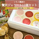 【ふるさと納税】いちごよりいちごを感じるジェラート&季節のおすすめ 12個入り