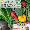 【ふるさと納税】野菜 定期便 6回 12回 選べる 産地直送!有機JAS認定 京野菜・農家のこだわり野菜・新鮮卵など お楽しみセット<京都・矢田の里>≪定期便 ...