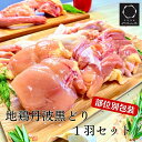 【訳あり・緊急支援・生活応援・特別返礼品】 ***************************************************** 少しでも食を通して明るい時間をお過ごしいただけるサポートが出来るよう、地鶏丹波黒どりを1羽まるごとご提供させていただきます。 まるごと1羽セットで生命を食すということを感じ、お子様への食育に繋げていただければと思います。 ※まるごと1羽お届けのため「訳あり」としています。品質には何ら問題ございませんのでご安心ください。 ***************************************************** 地鶏丹波黒どりは、亀岡市で生まれ、厳選した飼料を与えて約90日間ゆっくりと自然の恵み豊かな丹波地方で安心安全を追求しながら丹精込めて育てています。一般ブロイラーと比べて、ほどよい歯ごたえと上質な鶏の旨みを感じることができます。また、その力強い名前とは裏腹に、味わいはとても繊細で程よいあま味があります。 丸鶏の状態で4時間以上熟成させた後に解体することで、より美味しくなると言われております。本商品は熟成を経た後に、熟練の職人によって1羽をまるごと手捌きし、部位ごとに真空冷凍しております。 皆様に美味しく食べていただくために、大切に育てられました。どうぞご賞味くださいませ。 ※画像はイメージです ふるさと納税訳あり 名称京都亀岡生まれ手捌き熟成地鶏丹波黒どり1羽セット 産地名国産 内容量約1.8〜2kg※生鳥のため個体差がございます。モモ肉1枚×2袋、ムネ肉1枚×2袋、ササミ2本×1袋、手羽先・手羽元各2本×1袋、1本ガラ×1袋、肝・砂肝×1袋 消費期限製造より1年 保存方法冷凍 配送方法冷凍 製造者 /提供元 株式会社鳥栄 和歌山県和歌山市北中島1-2-20 株式会社ヤマモト 本社／京都府亀岡市保津町上火無66-2 ・ふるさと納税よくある質問はこちら ・寄付申込みのキャンセル、返礼品の変更・返品はできません。あらかじめご了承ください。 ↑こちらはふるさと納税ではございません。 お申込みいただいても控除等の対応は出来かねますのでご了承ください＜京都亀岡丹波山本＞手捌き熟成 地鶏 丹波黒どり1羽まるごとセット【訳あり・緊急支援品】 便利な小分けモモ肉&nbsp;こちらもよろしく&nbsp;お願いします 地鶏 丹波黒どり もも肉 2kg セット＜京都亀岡丹波山本＞訳あり 業務用 モモ もも 小分け 寄付金額：15,000円