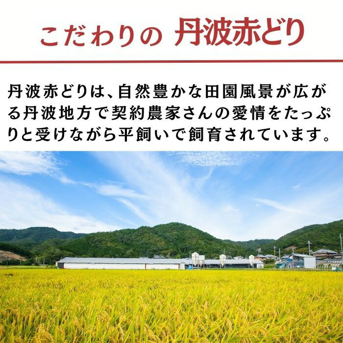 【ふるさと納税】訳あり 丹波 赤どり 手羽中 4kg(500g×8パック)≪鶏肉 小分け 国産 地鶏 手羽中ハーフ 業務用 冷凍 送料無料 不揃い≫ 3