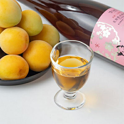 【ふるさと納税】長期熟成梅酒 城州　premium　720ml【1091704】