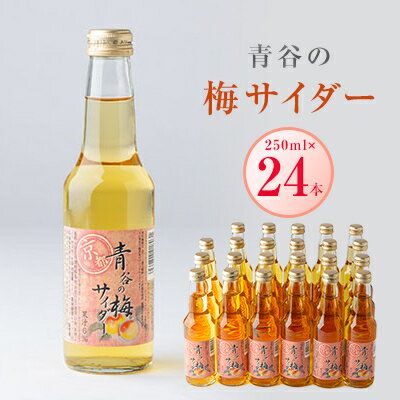 46位! 口コミ数「0件」評価「0」青谷の梅サイダー250ml　【1258587】