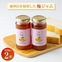 【ふるさと納税】爽やかな朝のスタートに梅のピュアな香りと酸味の効いた【梅ジャム】 180g 2本セット【1274510】