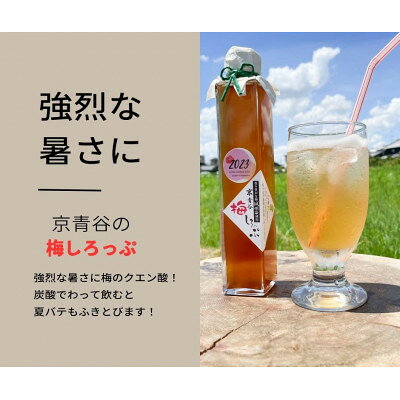 【ふるさと納税】炭酸水や、カクテルで楽しめる梅の味【京青谷の梅しろっぷ】200ml【1431921】