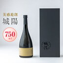 【ふるさと納税】日本酒「城陽」美感遊創 750ml【1456164】