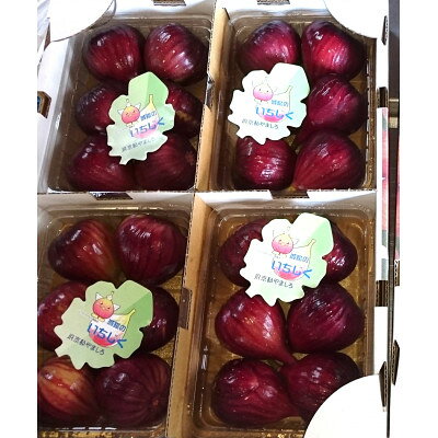 �ڤդ뤵��Ǽ�ǡۤ�������(�ɡ��ե���) 400g��4�ѥå� ���ܤ�˭�٤��Τ˴򤷤��ե롼�ġڵ����ܾ��ۻԡۡ������Բ��ϰ衧Υ�硦�̳�ƻ�����츩�����̡ۡ�1636084��