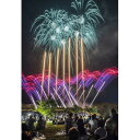 【ふるさと納税】【2025年9月28日開催】花火チケット1名分 秋花火大会in京都城陽 夏の夜空を彩る夏の思い出を【1646350】