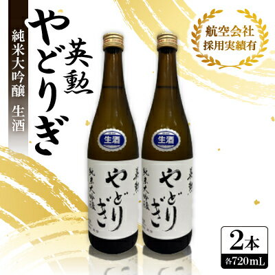 【ふるさと納税】英勲 やどりぎ 純米大吟醸 生酒 720ml×2本 JALの機内酒にも採用された京都の日本酒 要冷蔵【配送不可地域：離島】【1696568】