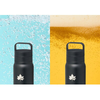 【ふるさと納税】TW 真空断熱 炭酸対応ボトル IG 500ml 保冷対応のステンレスボトル 81286122【1745199】