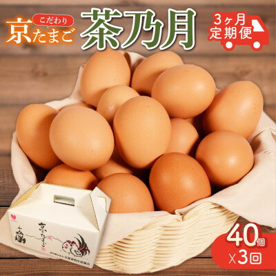 【ふるさと納税】【毎月定期便】京たまご 茶乃月 40個全3回【配送不可地域:離島】【4057927】