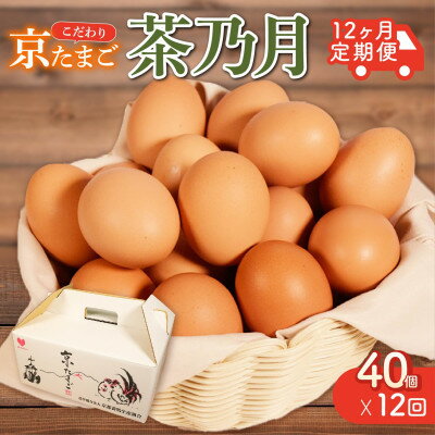 【ふるさと納税】【毎月定期便】京たまご 茶乃月 40個全12回【配送不可地域:離島】【4057930】