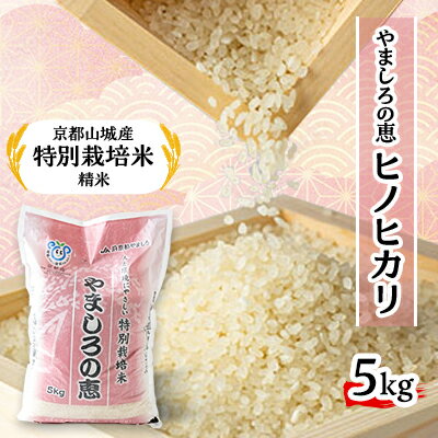 39位! 口コミ数「0件」評価「0」京都山城産　特別栽培米　やましろの恵　5kg(令和5年産)【1233378】