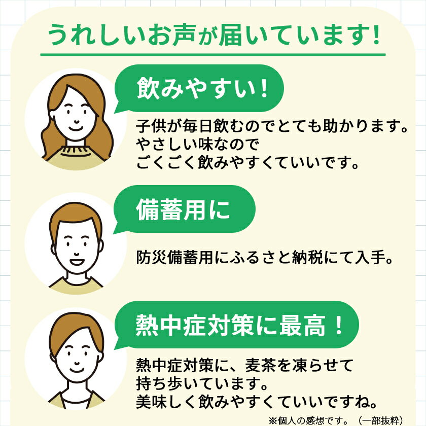 【ふるさと納税】サントリーやさしい麦茶　600mlPET×24本_ 麦茶 むぎ茶 お茶 飲料 ペットボトル ノンカフェイン カフェインゼロ グリーンダカラ 人気 【配送不可地域：離島・沖縄県】【1289007】