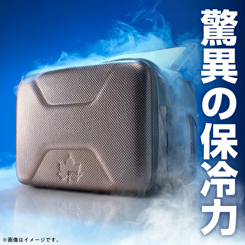 【ふるさと納税】ハイパー氷点下クーラーS/M/L/XL　ロゴスのクーラーボックス キャンプ、買い物、車にも【G1580413】 f262072-joyo-10000502 京都府城陽市 サンプル画像2