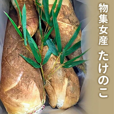 【ふるさと納税】たけのこ 京都向日市物集女産 野菜 山菜 タケノコ 筍 竹の子　【 京都府向日市 】　お届け：2024年4月1日〜2024年4月25日のサムネイル