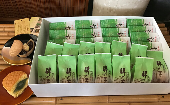 【ふるさと納税】和菓子 竹の徑 13個入り 乙訓竹の子 もなか 13個入り セット 京都 お菓子 菓子 スイーツ デザート おやつ 最中 常温保存 たけのこ タケノコ 筍 竹の子 あんこ 餡子 こしあん 笹餡 丹波大納言小豆 京都府向日市
