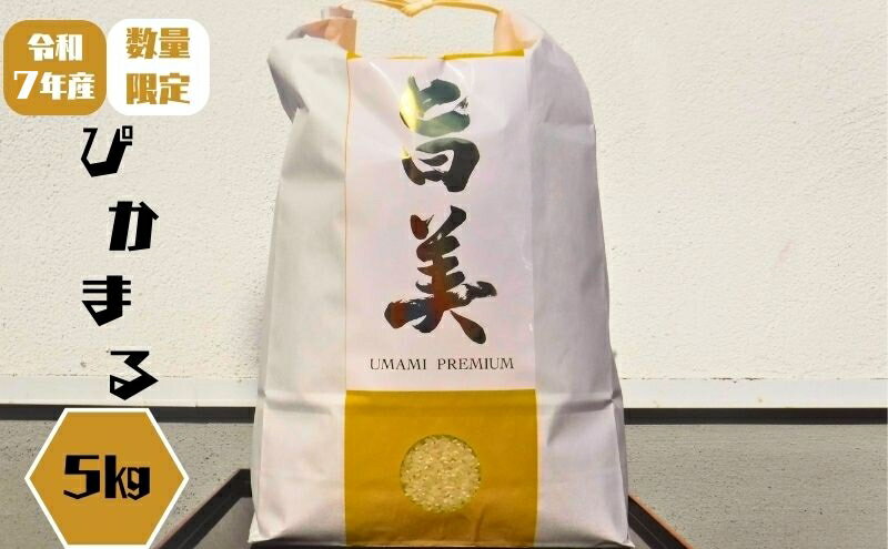 【ふるさと納税】新米 令和7年産 ぴかまる お米番付2021優秀賞受賞 米 お米 5kg 五十棲 京都 白米 ライス こめ コメ おこめ 精米 ごはん お弁当 おにぎり 主食 炭水化物 京都府産 向日市産 国産 日本産 京都府向日市 　お届け：11月上旬より順次発送