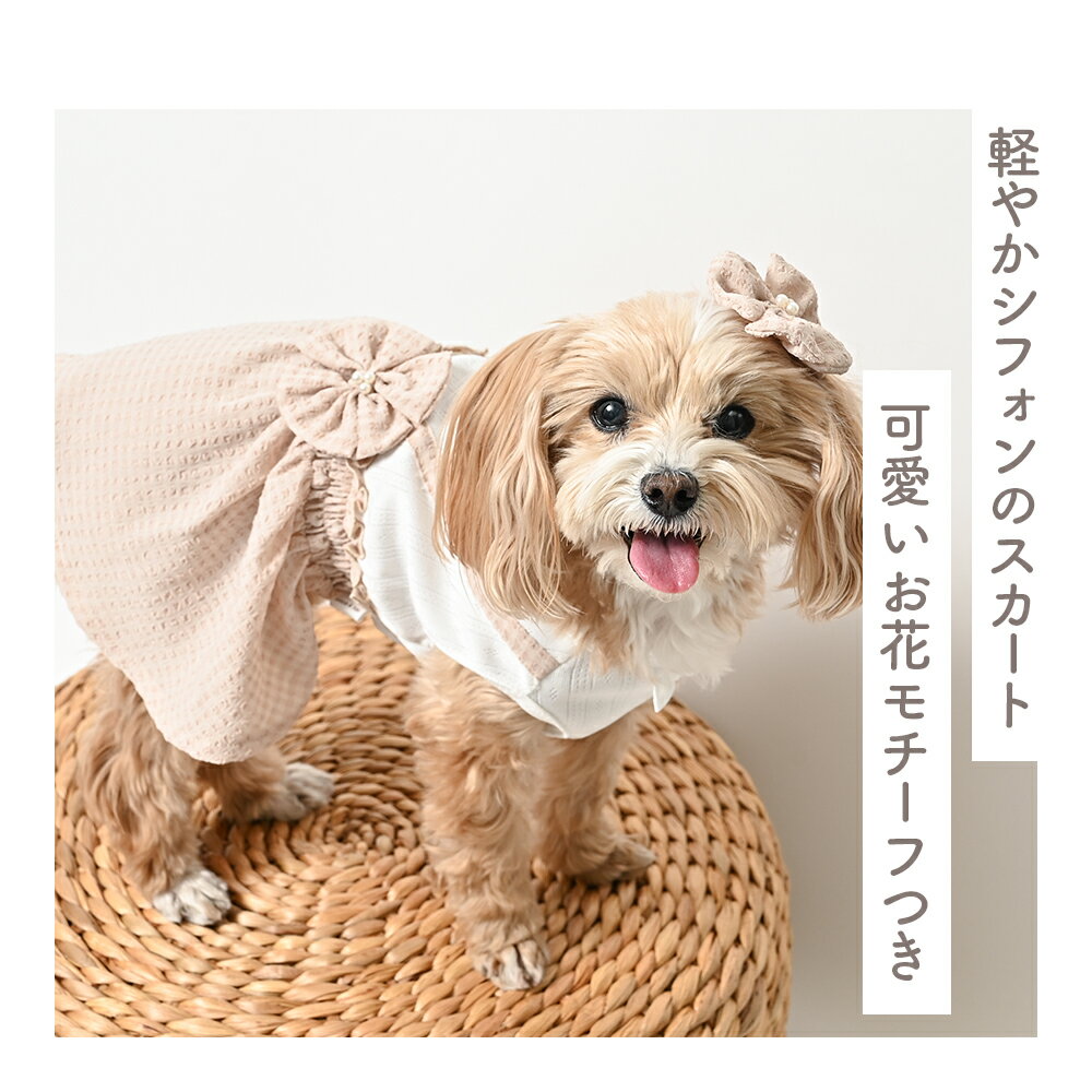 �ڤդ뤵��Ǽ�ǡۥ��å������ե�����ԡ��� �֥롼 �ԥ� �١����� ���������إ��ԥ�Ĥ� (S) �ɥå��������ڥ������ȥ�(cocoAtoi)��