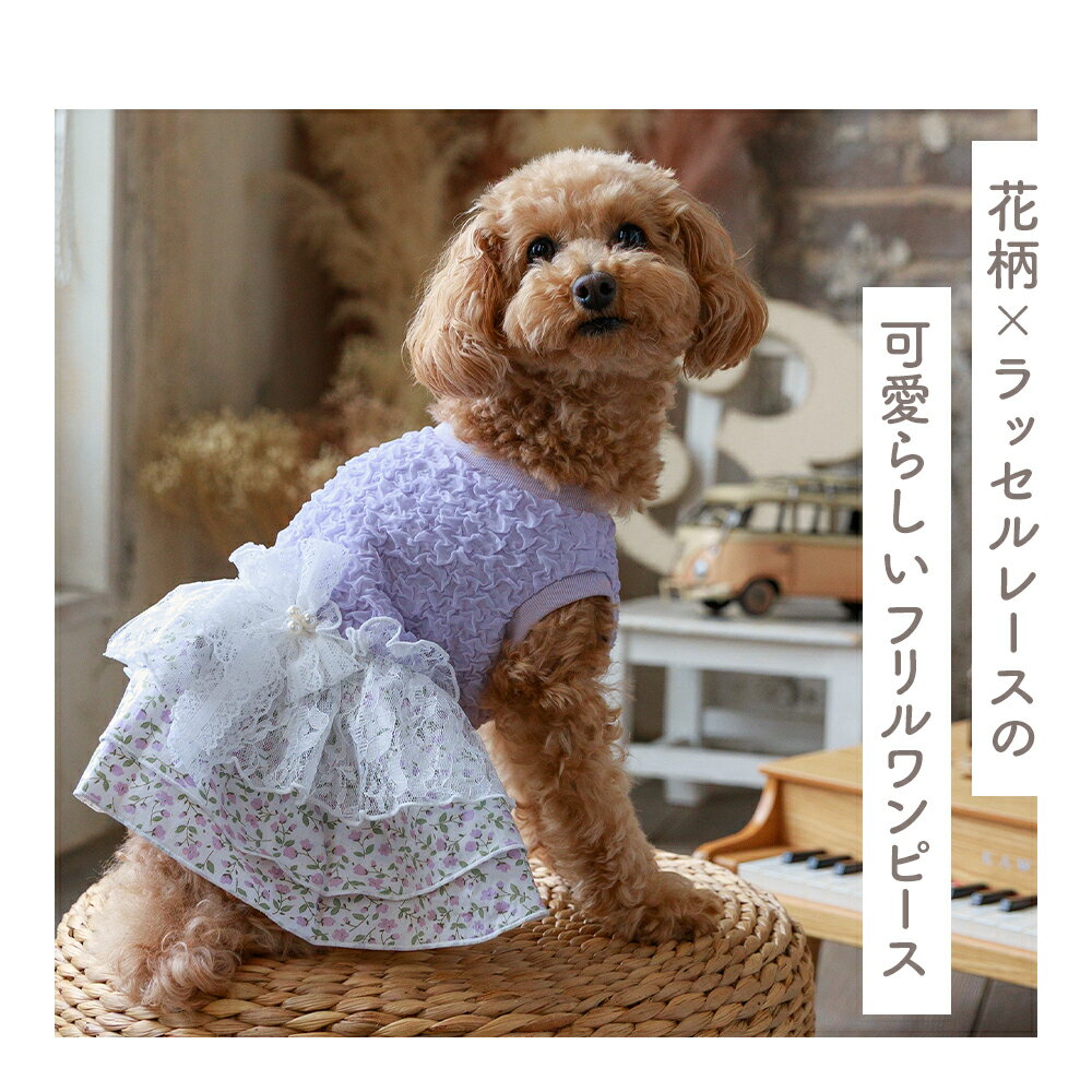 �ڤդ뤵��Ǽ�ǡۤդ��쥸�㥬���ɥե����ԡ��� �١����� ��٥���� �ɥå������� �ڥ������ȥ�(cocoAtoi)��