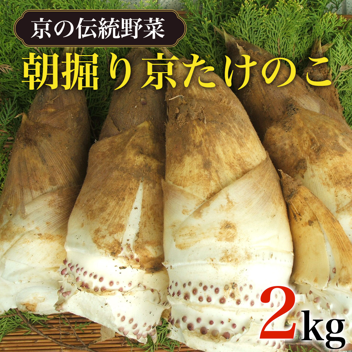 【ふるさと納税】 【2024年3月下旬から順次発送予定】【京の伝統野菜】朝掘り京たけのこ 2kg ふるさと納税 京都 竹の子 筍 たけのこ タケノコ 朝掘り 料亭 逸品 やわらかい 春 味覚 京都府 長岡京市 NGL001