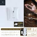  NAKANOTEI COFFEE 蔵 ROASTERYオリジナルブレンドカフェオレベース（微糖）600ml×1本、シングルオリジンコーヒー ドリップパック×10P：12回 ふるさと納税 カフェオレベース 微糖 ドリップ カフェオレ 珈琲 定期便 京都府 長岡京市 NGP13