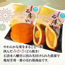 京都府八幡市の画像2
