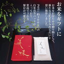 京都府八幡市の画像2